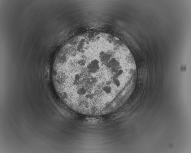 X0000094460703200712061223