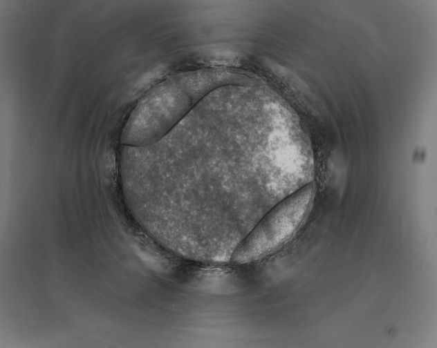 X0000094460704200712061223