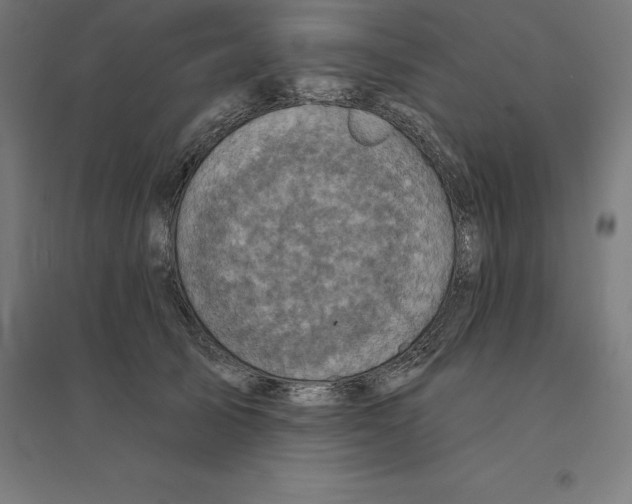 X0000094460705200712061223