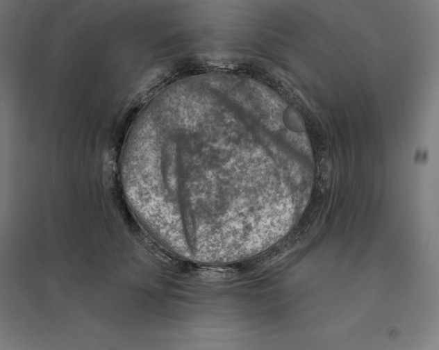 X0000094460707200712061223