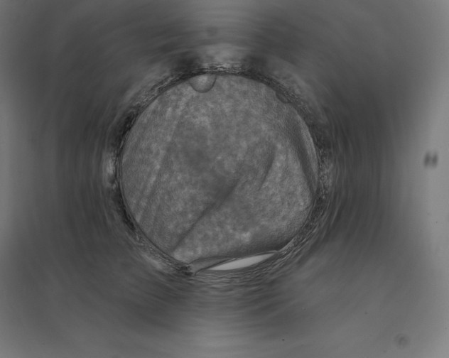 X0000094460709200712061223