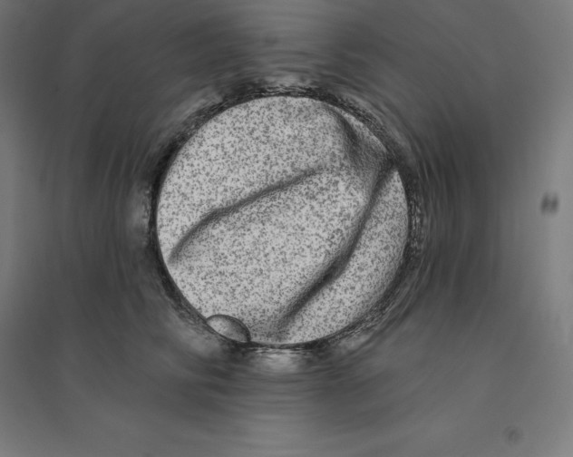 X0000094460710200712061223