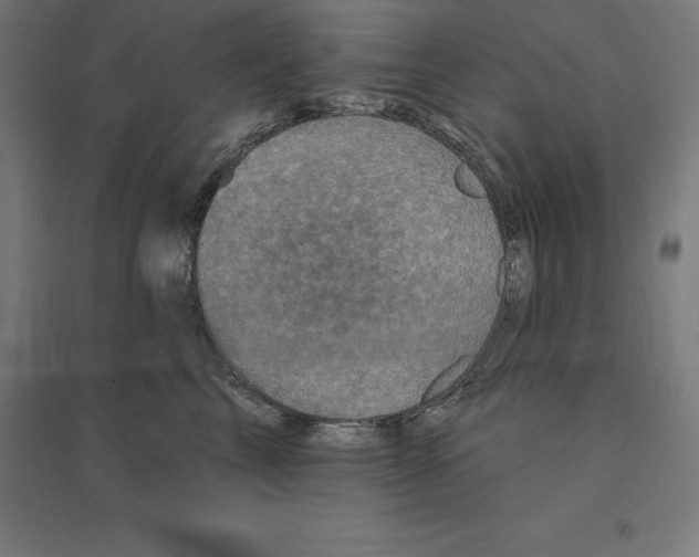 X0000094460713200712061223