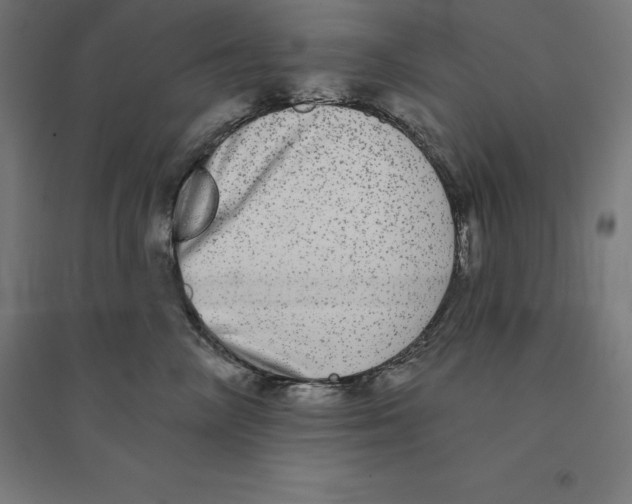 X0000094460714200712061223