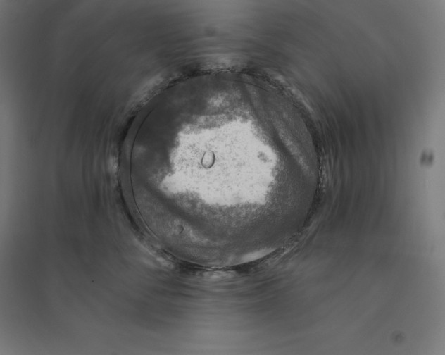 X0000094460716200712061223