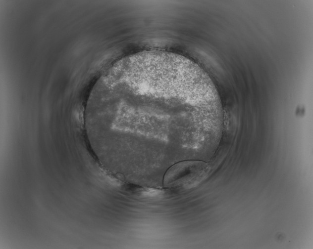 X0000094460718200712061223