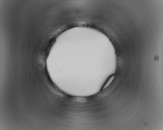 X0000094460719200712061223