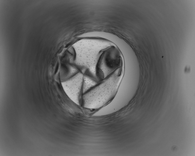 X0000094460720200712061223