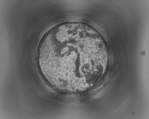 X0000094460721200712061223