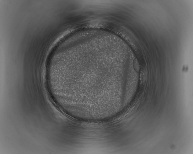 X0000094460722200712061223