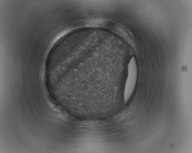 X0000094460724200712061223