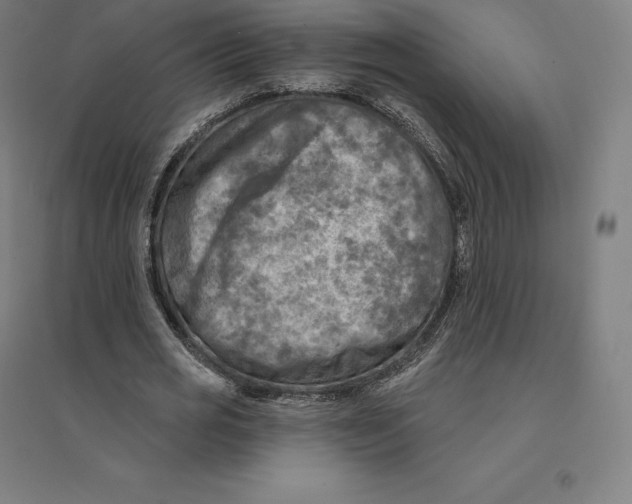 X0000094460725200712061223