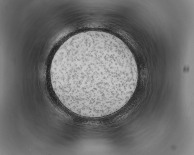 X0000094460727200712061223