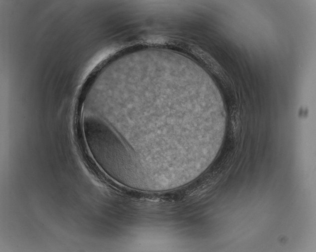 X0000094460728200712061223