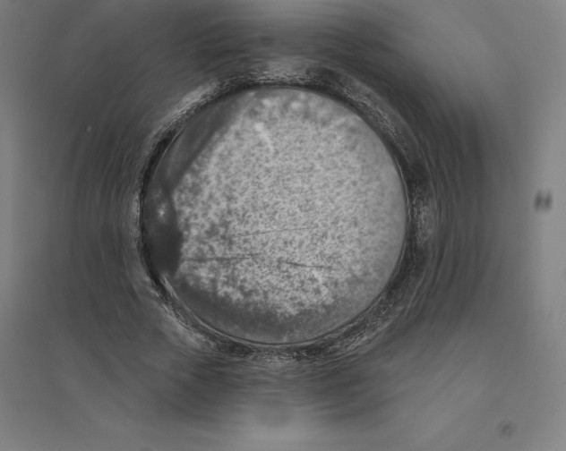 X0000094460729200712061223