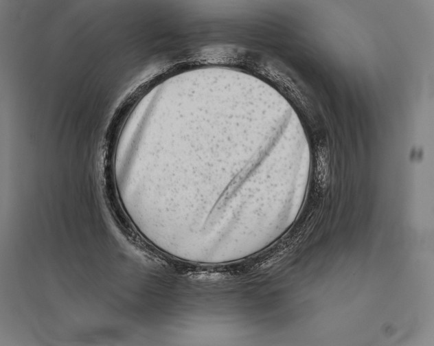 X0000094460730200712061223