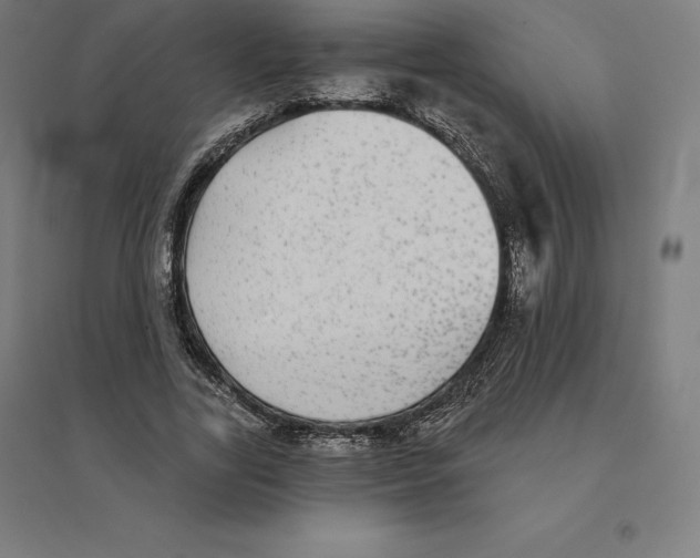 X0000094460731200712061223