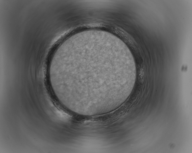 X0000094460732200712061223