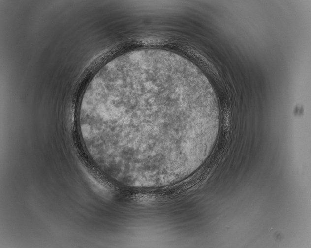 X0000094460733200712061223