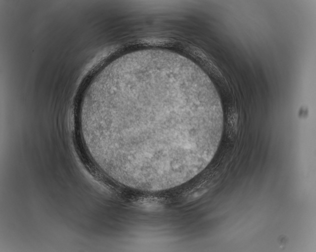 X0000094460734200712061223