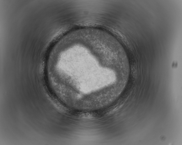 X0000094460735200712061223