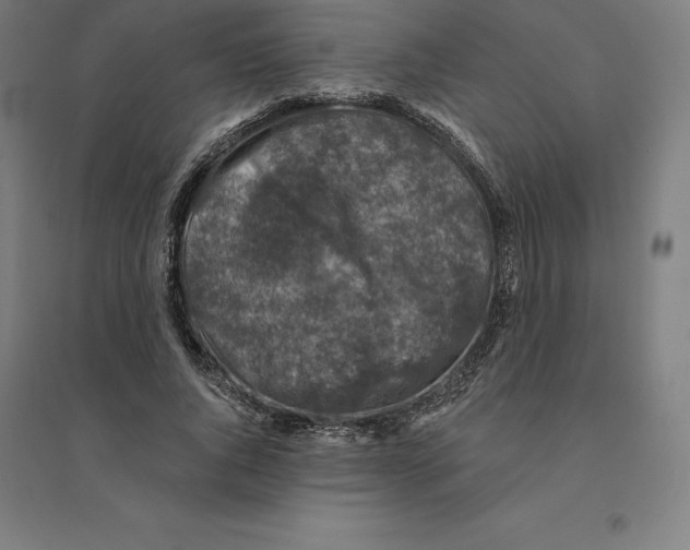 X0000094460736200712061223