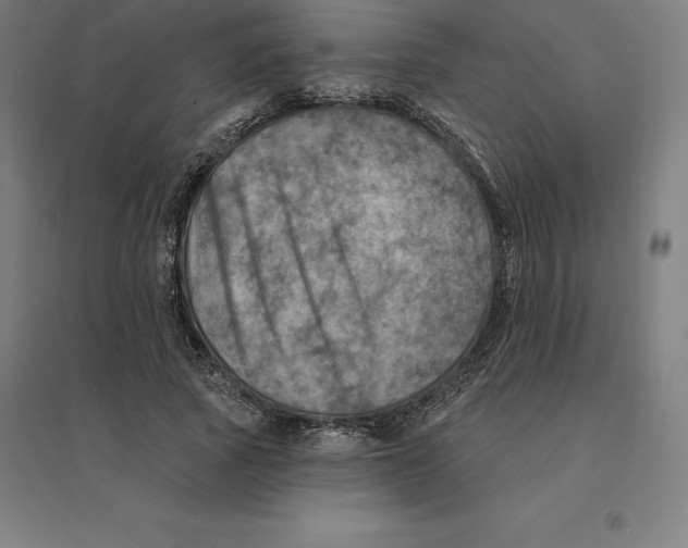 X0000094460737200712061223