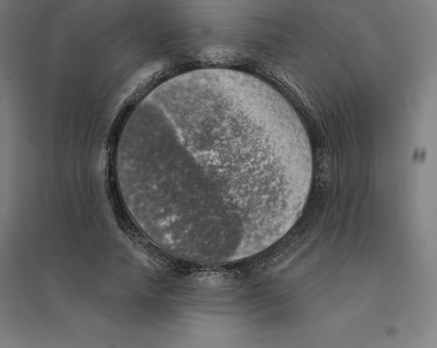 X0000094460738200712061223