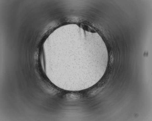 X0000094460739200712061223