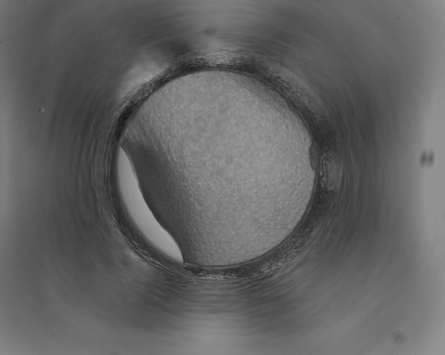 X0000094460740200712061223