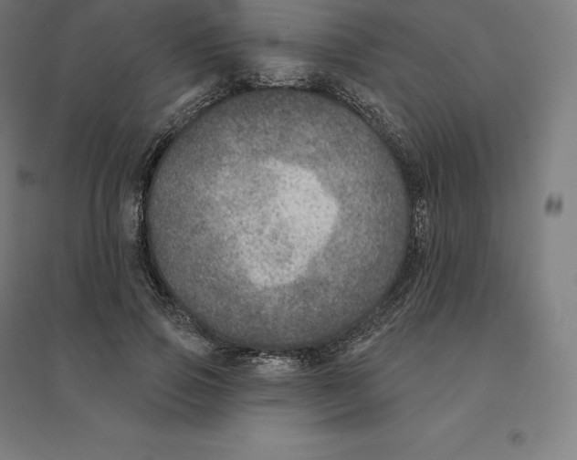 X0000094460741200712061223