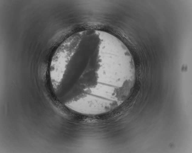 X0000094460742200712061223