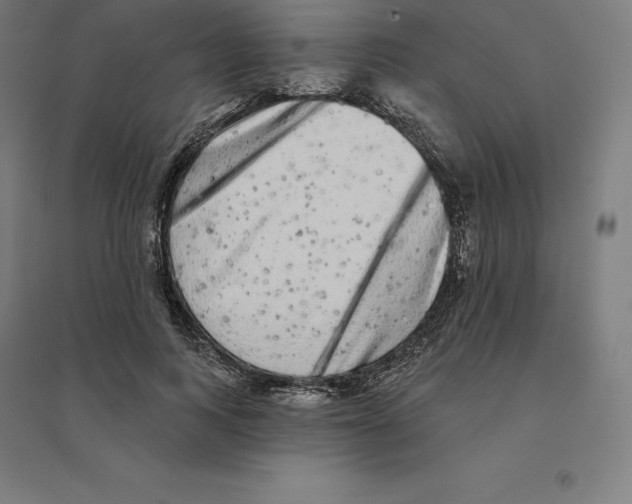 X0000094460743200712061223