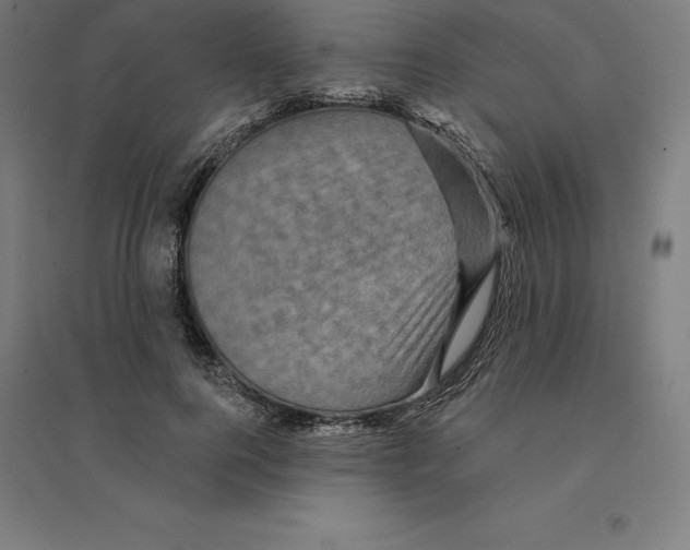 X0000094460744200712061223