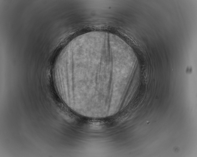 X0000094460746200712061223