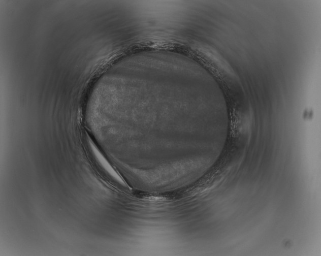 X0000094460748200712061223