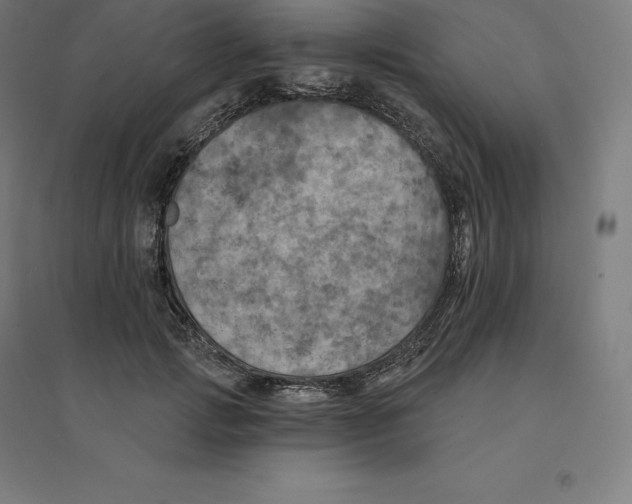 X0000094460749200712061223