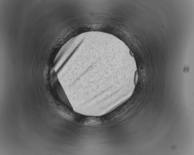 X0000094460750200712061223