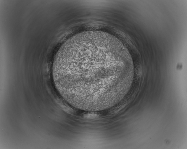 X0000094460759200712061223