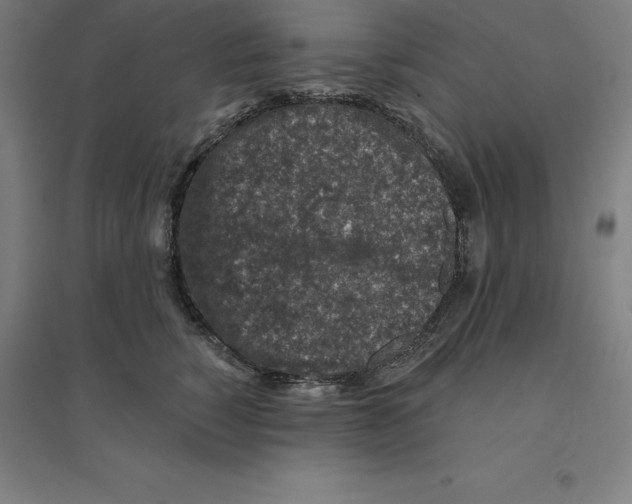 X0000094460760200712061223