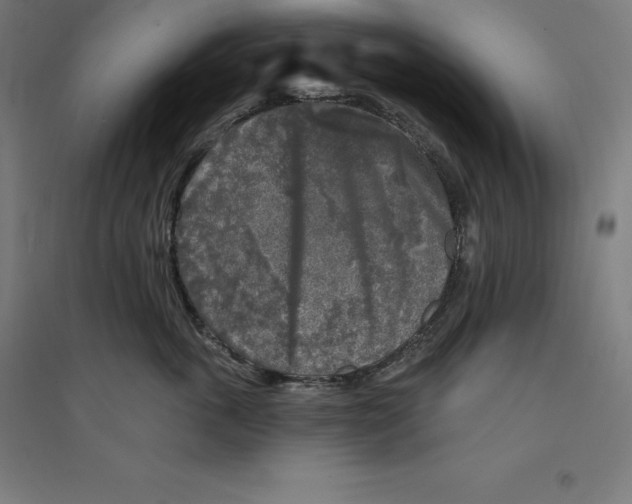 X0000094460763200712061223