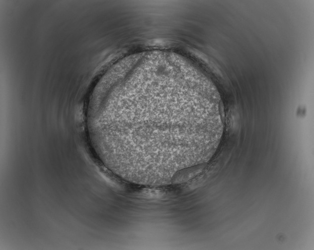 X0000094460764200712061223