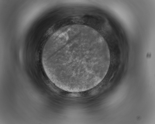 X0000094460765200712061223