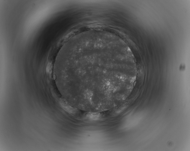 X0000094460767200712061223