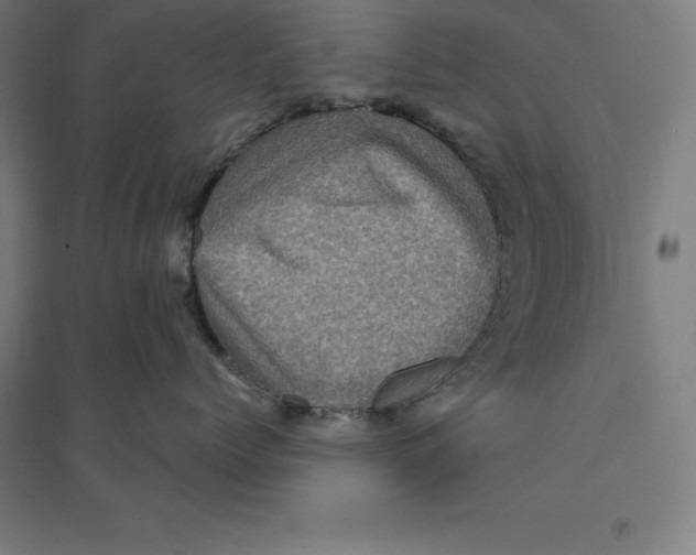 X0000094460768200712061223