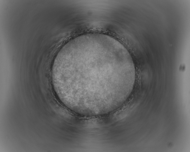 X0000094460769200712061223