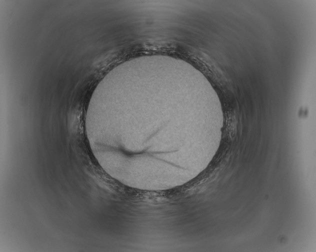 X0000094460770200712061223