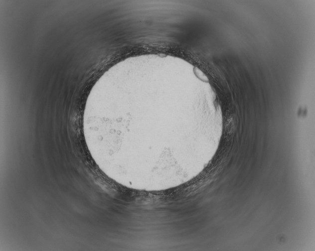 X0000094460772200712061222