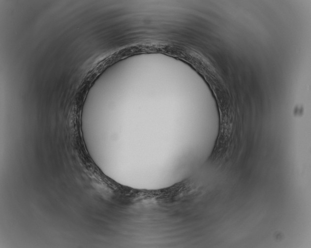 X0000094460773200712061222