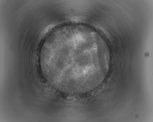 X0000094460776200712061222